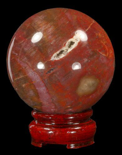 Colorful Petrified Wood Sphere #41930